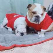 ヒメ日記 2026/03/12 23:10 投稿 そら モアグループ熊谷人妻花壇