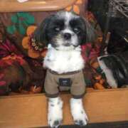 ヒメ日記 2026/03/15 18:35 投稿 そら モアグループ熊谷人妻花壇