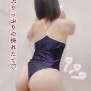 ヒメ日記 2025/01/06 22:27 投稿 チョコ バニーコレクション秋田店