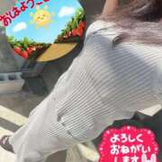 もな おはようございます☀️ 熟女家 豊中蛍池店
