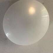 ヒメ日記 2025/12/19 13:16 投稿 える マリン宇都宮店