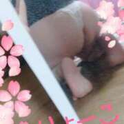 ヒメ日記 2025/04/06 21:12 投稿 真木涼子 五十路マダム富山店(カサブランカグループ)