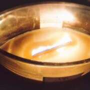 ヒメ日記 2025/11/12 22:26 投稿 真木涼子 五十路マダム富山店(カサブランカグループ)