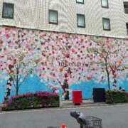 ヒメ日記 2026/04/17 22:53 投稿 めい 池袋角海老