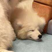 ヒメ日記 2024/12/14 12:21 投稿 さな 東京デザインリング錦糸町店