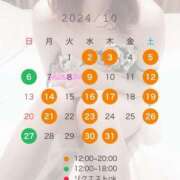 ヒメ日記 2024/09/17 15:30 投稿 新門 しおり 白夜