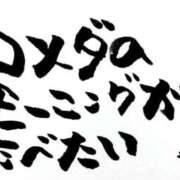 ヒメ日記 2025/07/30 07:02 投稿 新門 しおり 白夜