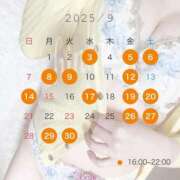 ヒメ日記 2025/08/24 13:15 投稿 新門 しおり 白夜