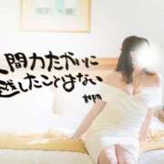 ヒメ日記 2025/09/17 07:04 投稿 新門 しおり 白夜