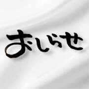 ヒメ日記 2025/09/20 12:15 投稿 新門 しおり 白夜
