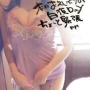 ヒメ日記 2025/09/26 07:10 投稿 新門 しおり 白夜