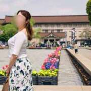 ヒメ日記 2025/10/08 18:48 投稿 新門 しおり 白夜