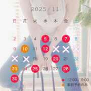 ヒメ日記 2025/11/03 17:12 投稿 新門 しおり 白夜