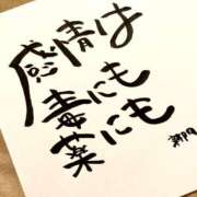 ヒメ日記 2025/11/07 07:01 投稿 新門 しおり 白夜