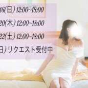 ヒメ日記 2025/11/15 13:10 投稿 新門 しおり 白夜