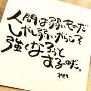 ヒメ日記 2025/11/16 07:00 投稿 新門 しおり 白夜