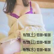 ヒメ日記 2025/11/22 11:19 投稿 新門 しおり 白夜