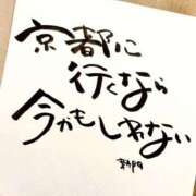ヒメ日記 2025/11/23 07:01 投稿 新門 しおり 白夜