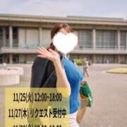 ヒメ日記 2025/11/25 12:45 投稿 新門 しおり 白夜