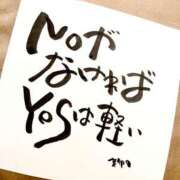 ヒメ日記 2025/11/26 07:01 投稿 新門 しおり 白夜