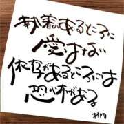 ヒメ日記 2025/11/27 07:01 投稿 新門 しおり 白夜