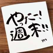 ヒメ日記 2025/11/28 07:00 投稿 新門 しおり 白夜