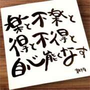 ヒメ日記 2025/11/29 07:01 投稿 新門 しおり 白夜