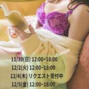 ヒメ日記 2025/11/29 13:01 投稿 新門 しおり 白夜