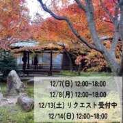 新門 しおり 明日＆明後日🎡 白夜