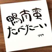 ヒメ日記 2025/12/08 07:01 投稿 新門 しおり 白夜