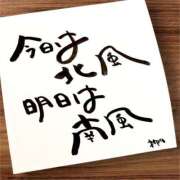 ヒメ日記 2025/12/12 07:01 投稿 新門 しおり 白夜