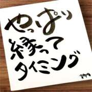 ヒメ日記 2025/12/14 07:00 投稿 新門 しおり 白夜