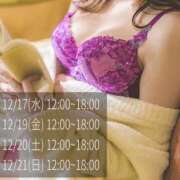 ヒメ日記 2025/12/15 12:05 投稿 新門 しおり 白夜