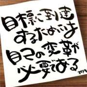 ヒメ日記 2025/12/17 07:01 投稿 新門 しおり 白夜