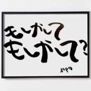 ヒメ日記 2025/12/21 07:00 投稿 新門 しおり 白夜
