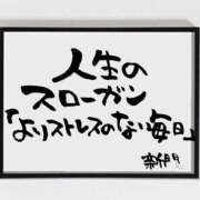 ヒメ日記 2025/12/24 07:01 投稿 新門 しおり 白夜