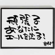 ヒメ日記 2025/12/26 07:01 投稿 新門 しおり 白夜