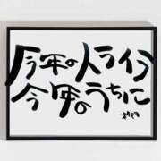 ヒメ日記 2025/12/27 07:01 投稿 新門 しおり 白夜