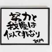 新門 しおり 〜今日の一筆〜 白夜