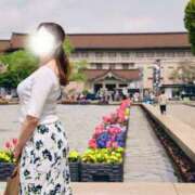 ヒメ日記 2026/02/04 11:45 投稿 新門 しおり 白夜