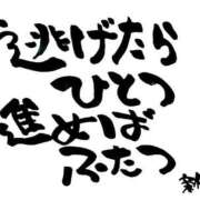 ヒメ日記 2026/03/02 07:01 投稿 新門 しおり 白夜