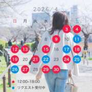 ヒメ日記 2026/04/05 12:45 投稿 新門 しおり 白夜