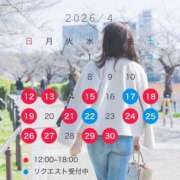 ヒメ日記 2026/04/17 11:15 投稿 新門 しおり 白夜