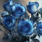 ヒメ日記 2025/05/23 01:54 投稿 ゆか 花影（かえい）