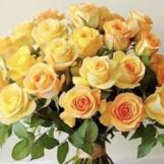 ヒメ日記 2025/05/23 23:38 投稿 ゆか 花影（かえい）