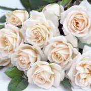 ヒメ日記 2025/06/01 01:19 投稿 ゆか 花影（かえい）