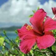 ヒメ日記 2025/08/01 16:06 投稿 ゆか 花影（かえい）