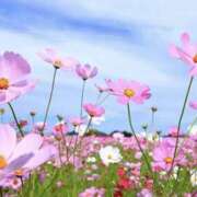 ゆか おはよ♡ 花影（かえい）