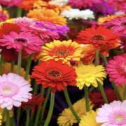 ゆか 10月スタート♡ 花影（かえい）