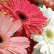 ゆか ありがとう♡ 花影（かえい）